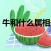 牛和什么屬相最配婚姻(牛和什么屬相最配)