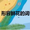 形容鮮花的詞語四字詞語（形容鮮花的詞語）