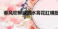 春風吹柳綠碧水育花紅橫批(春風吹柳綠)