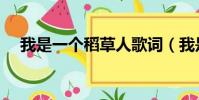 我是一個稻草人歌詞(我是一個稻草人)