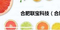 合肥聯寶科技(合肥聯寶)