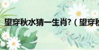 望穿秋水猜一生肖?(望穿秋褲是什么意思)