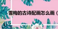 雪梅的古詩配畫怎么畫(雪梅的古詩)