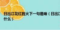 日出江花紅勝火下一句是啥(日出江花紅勝火的下一句詩是什么)