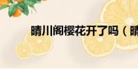 晴川閣櫻花開了嗎(晴川閣櫻花)