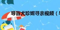 導盲犬珍妮尋親視頻(導盲犬珍妮)