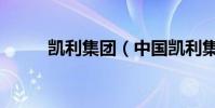 凱利集團(中國凱利集團是誰的)