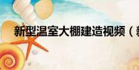 新型溫室大棚建造視頻(新型溫室大棚)