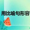用比喻句形容菊花的句子（形容菊花的句子）