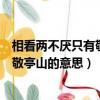相看兩不厭只有敬亭山的意思是什么簡短（相看兩不厭只有敬亭山的意思）