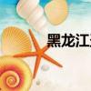 黑龍江圣瑞案件（黑龍江圣瑞）