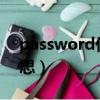 password什么意思呢（passwords什么意思）