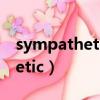 sympathetic nervous system(sympathetic)