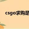 csgo求購是什么意思（求購是什么意思）