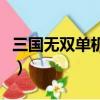 三國無雙單機游戲有哪些（三國無雙單機游戲）