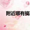 附近哪有摘草莓的（附近摘草莓的地方）