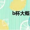 b杯大概有多大水果（b杯有多大）