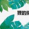 貍的拼音怎么寫（貍的拼音）