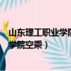 山東理工職業學院空乘專業、是校企合作嗎（山東理工職業學院空乘）