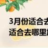 3月份適合去哪里旅游最好山東境內（3月份適合去哪里旅游）
