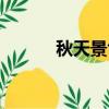 秋天景色的成語（景色的成語）