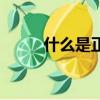什么是正心修心的人（正心居士）