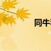 同牛科技發展（同牛科技）
