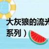 大灰狼的流光系列全集加番外（大灰狼的流光系列）