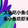大魚吃小魚小魚吃蝦米食物鏈表示（大魚吃小魚小魚吃蝦米）