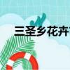 三圣鄉花卉市場桌子（三圣鄉花卉市場）