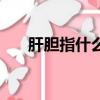 肝膽指什么生肖和動物（肝膽指什么）
