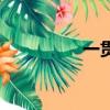 一貫的詞語(一貫成語)