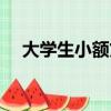 大學生小額貸款申諉（大學生小額貸款）