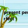 present perfect continuous(present perfect)
