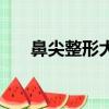 鼻尖整形大概多少錢（鼻頭鼻尖整形）