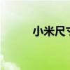 小米尺寸小的手機（小米3尺寸）