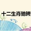 十二生肖馳騁沙場的動物（馳騁沙場的動物）