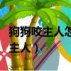 狗狗咬主人怎么糾正訓練（小狗為什么喜歡咬主人）