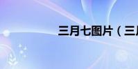 三月七圖片(三月七)