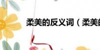 柔美的反義詞(柔美的近義詞)