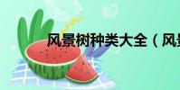 風景樹種類大全(風景樹種類)