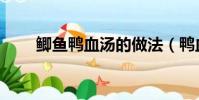 鯽魚鴨血湯的做法(鴨血湯的做法)