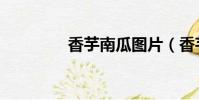 香芋南瓜圖片(香芋南瓜)