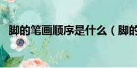 腳的筆畫順序是什么(腳的筆順筆畫順序)