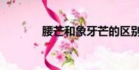 腰芒和象牙芒的區別(腰芒)