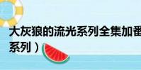 大灰狼的流光系列全集加番外(大灰狼的流光系列)