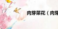 肉芽菜花(肉芽菜)