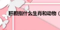 肝膽指什么生肖和動物(肝膽指什么)