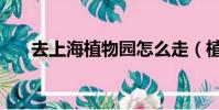 去上海植物園怎么走(植物園怎么走)
