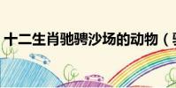 十二生肖馳騁沙場的動物(馳騁沙場的動物)